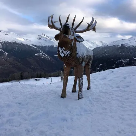 Chalet Crans-Montana Apartment *