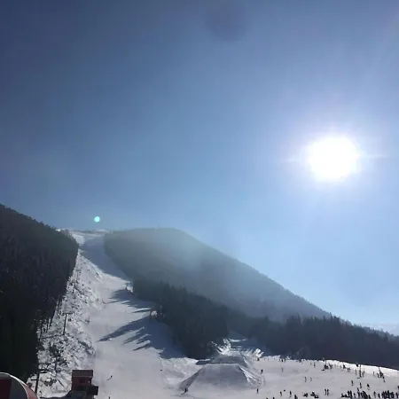 Chalet Crans-Montana Appartement *