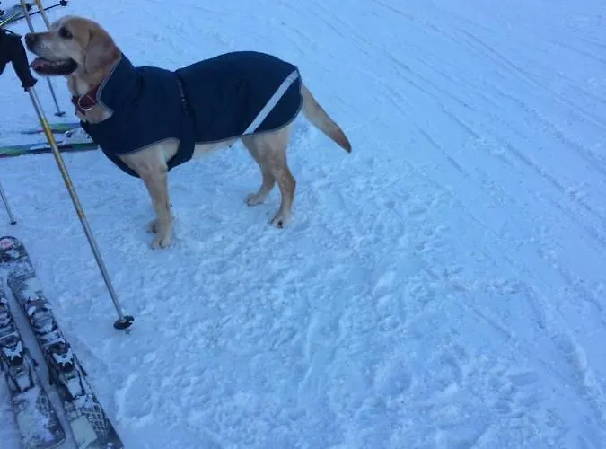 Apartamento Chalet Crans-Montana Crans-Montana