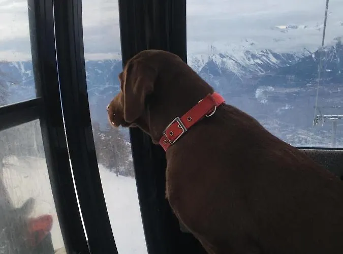 Chalet Crans-Montana Appartement