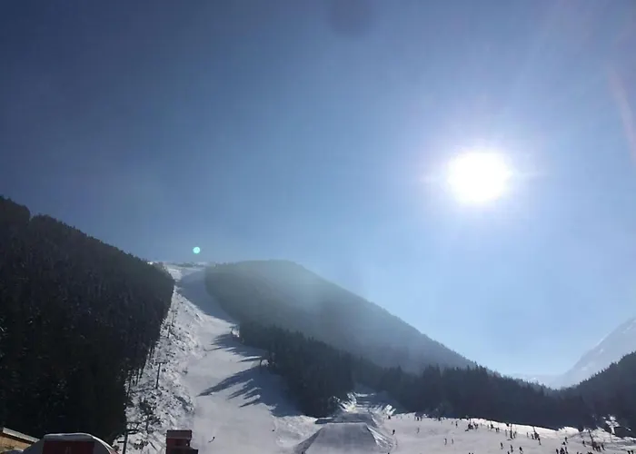 Chalet Crans-Montana Apartment *