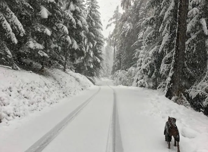 Appartement Chalet Crans-Montana Crans-Montana